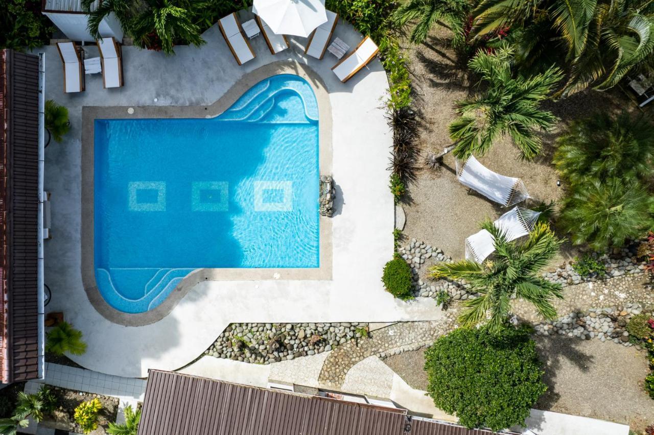 דומיניקל Tribe Boutique Hotel - Adults Only מראה חיצוני תמונה