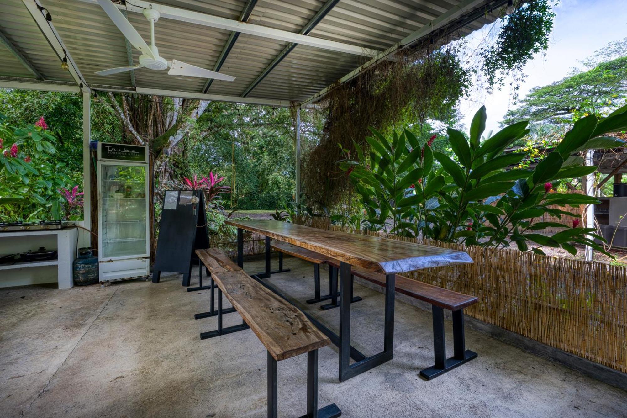 דומיניקל Tribe Boutique Hotel - Adults Only מראה חיצוני תמונה